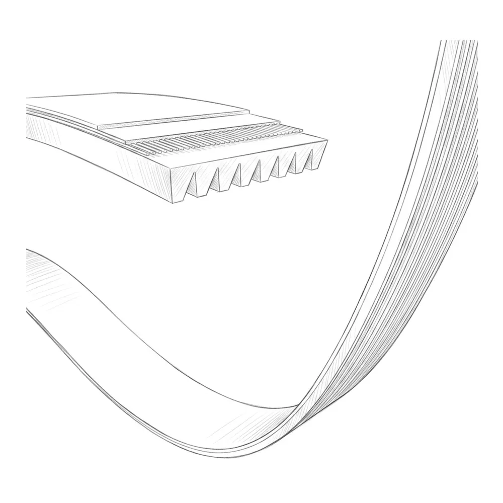 PJ Poly V belts